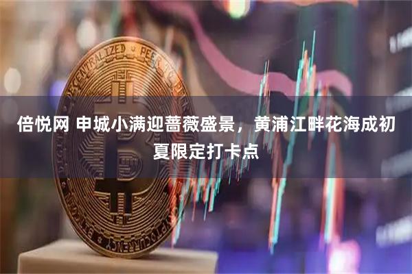 倍悦网 申城小满迎蔷薇盛景，黄浦江畔花海成初夏限定打卡点