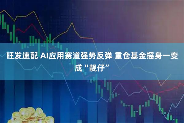 旺发速配 AI应用赛道强势反弹 重仓基金摇身一变成“靓仔”